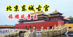 骚货淫妇中国北京-东城古宫旅游风景区